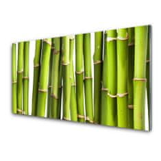 tulup.si Slika na akrilnem steklu Bamboo rastlin narava 100x50 cm 4 obešalnika