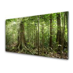 tulup.si Slika na akrilnem steklu Narava jungle forest trees 125x50 cm 2 obešalnika