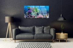 tulup.si Slika na akrilnem steklu Aquarium fish pod vode 120x60 cm 2 obešalnika