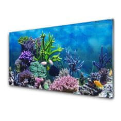 tulup.si Slika na akrilnem steklu Aquarium fish pod vode 120x60 cm 2 obešalnika