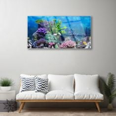 tulup.si Slika na akrilnem steklu Aquarium fish pod vode 120x60 cm 2 obešalnika