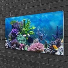 tulup.si Slika na akrilnem steklu Aquarium fish pod vode 120x60 cm 2 obešalnika