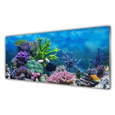 tulup.si Slika na akrilnem steklu Aquarium fish pod vode 125x50 cm 4 obešalnika