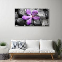 tulup.si Slika na akrilnem steklu Flower stones art 100x50 cm 4 obešalnika