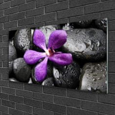 tulup.si Slika na akrilnem steklu Flower stones art 100x50 cm 4 obešalnika