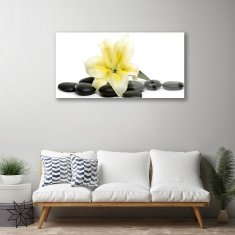 tulup.si Slika na akrilnem steklu Flower stones art 100x50 cm 2 obešalnika