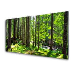 tulup.si Slika na akrilnem steklu Narava rastlin forest trees 120x60 cm 2 obešalnika