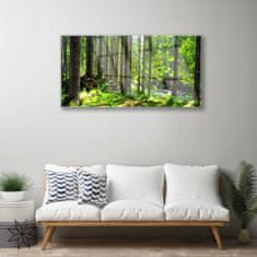 tulup.si Slika na akrilnem steklu Narava rastlin forest trees 120x60 cm 2 obešalnika