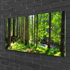 tulup.si Slika na akrilnem steklu Narava rastlin forest trees 120x60 cm 2 obešalnika