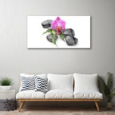 tulup.si Slika na akrilnem steklu Flower stones art 100x50 cm 2 obešalnika