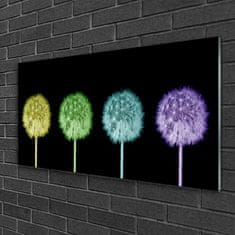 tulup.si Slika na akrilnem steklu Dandelion rastlin 100x50 cm 4 obešalnika