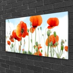 tulup.si Slika na akrilnem steklu Makovo polje flowers travnik narava 100x50 cm 2 obešalnika