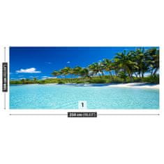 tulup.si Fototapeta Palm beach Samolepilne 250x104 cm