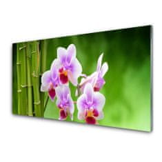 tulup.si Slika na akrilnem steklu Bamboo orchid cvetje zen 100x50 cm 2 obešalnika