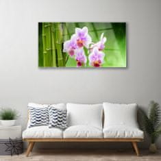 tulup.si Slika na akrilnem steklu Bamboo orchid cvetje zen 100x50 cm 2 obešalnika