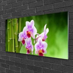 tulup.si Slika na akrilnem steklu Bamboo orchid cvetje zen 100x50 cm 2 obešalnika