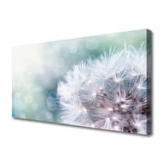 tulup.si Slika na platnu Dandelion rastlin 120x60 cm