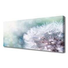 tulup.si Slika na platnu Dandelion rastlin 120x60 cm