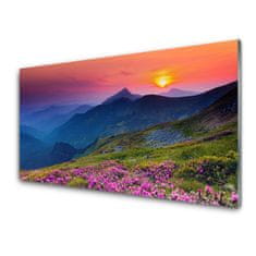 tulup.si Slika na akrilnem steklu Mountain travnik flowers landscape 100x50 cm 4 obešalnika