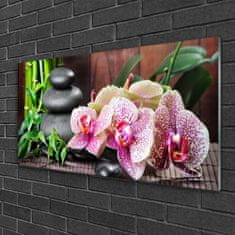 tulup.si Slika na akrilnem steklu Bamboo orchid spa 100x50 cm 2 obešalnika