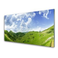 tulup.si Slika na akrilnem steklu Mountain travnik narava field 100x50 cm 2 obešalnika