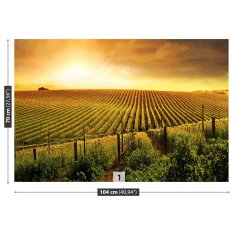 tulup.si Fototapeta Vineyard Tapeta 104x70 cm