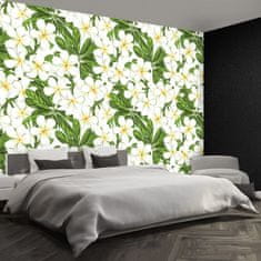 tulup.si Stenska fototapeta Plumeria cvetje Tapeta 104x70 cm