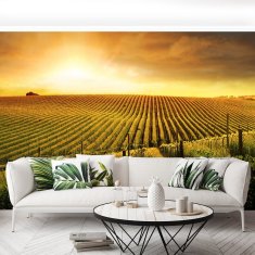 tulup.si Fototapeta Vineyard Samolepilne 208x146 cm