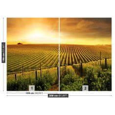 tulup.si Fototapeta Vineyard Samolepilne 208x146 cm