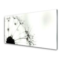 tulup.si Slika na akrilnem steklu Dandelion rastlin 140x70 cm 2 obešalnika