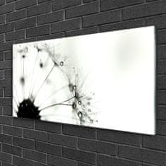 tulup.si Slika na akrilnem steklu Dandelion rastlin 120x60 cm 4 obešalnika