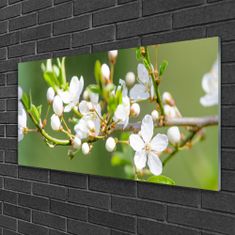 tulup.si Slika na akrilnem steklu Panoge cvetje listi sad 120x60 cm 4 obešalnika