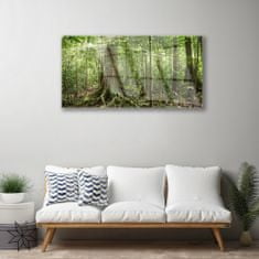 tulup.si Slika na akrilnem steklu Narava jungle forest trees 100x50 cm 4 obešalnika