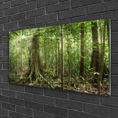 tulup.si Slika na akrilnem steklu Narava jungle forest trees 100x50 cm 4 obešalnika