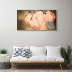 tulup.si Slika na akrilnem steklu Butterfly roses narava 100x50 cm 4 obešalnika