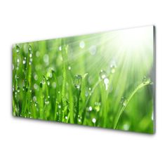 tulup.si Slika na akrilnem steklu Narava grass drops 100x50 cm 2 obešalnika