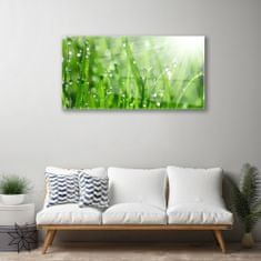 tulup.si Slika na akrilnem steklu Narava grass drops 100x50 cm 2 obešalnika