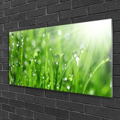 tulup.si Slika na akrilnem steklu Narava grass drops 100x50 cm 2 obešalnika