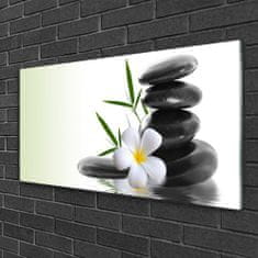 tulup.si Slika na akrilnem steklu Flower stones art 100x50 cm 4 obešalnika