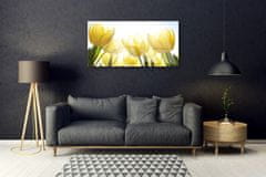 tulup.si Slika na akrilnem steklu Tulipani flowers rays 100x50 cm 2 obešalnika