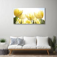 tulup.si Slika na akrilnem steklu Tulipani flowers rays 100x50 cm 2 obešalnika