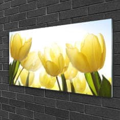 tulup.si Slika na akrilnem steklu Tulipani flowers rays 100x50 cm 2 obešalnika