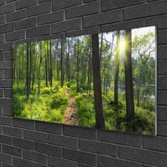 tulup.si Slika na akrilnem steklu Gozdna pot lane narava 120x60 cm 2 obešalnika