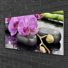 tulup.si Slika na akrilnem steklu Orchid orchid zen spa 100x50 cm 4 obešalnika