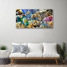 tulup.si Slika na akrilnem steklu Barrier reef narava 100x50 cm 2 obešalnika