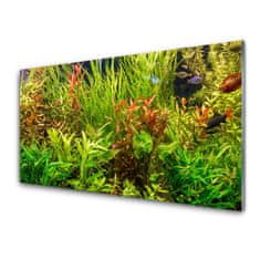 tulup.si Slika na akrilnem steklu Aquarium fish rastline 120x60 cm 2 obešalnika