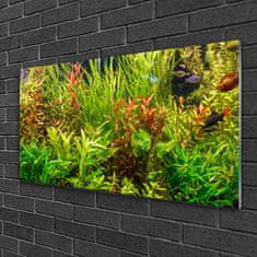 tulup.si Slika na akrilnem steklu Aquarium fish rastline 120x60 cm 2 obešalnika