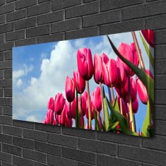 tulup.si Slika na platnu Tulip na wall 100x50 cm