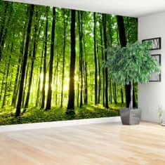 tulup.si Fototapeta Green forest Samolepilne 104x70 cm