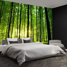 tulup.si Fototapeta Green forest Samolepilne 104x70 cm